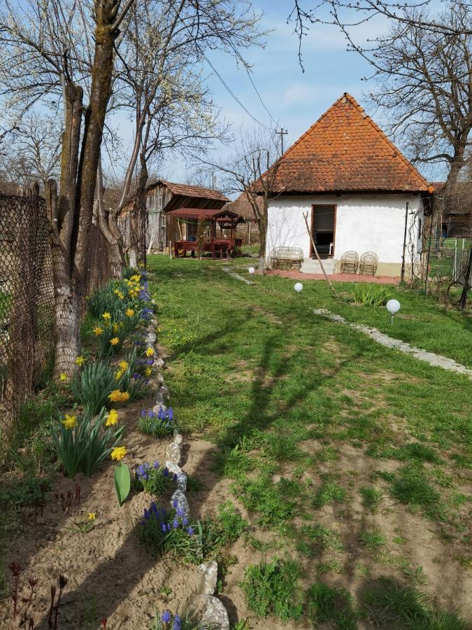 Sovarlak Sòvàrad エクステリア 写真
